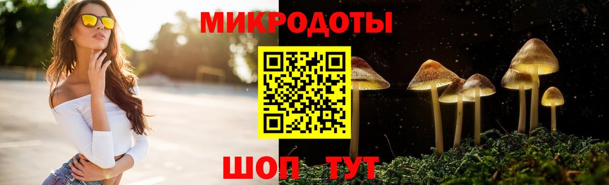 Псилоцибиновые грибы GOLDEN TEACHER  Вход с VPN  Мценск  Псилоцибиновые грибы прущие грибы 